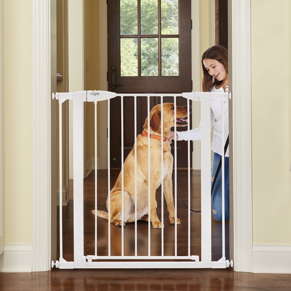 Carlson Pet Products Weatherproof Outdoor Walk-thru Dog Gate, Black 