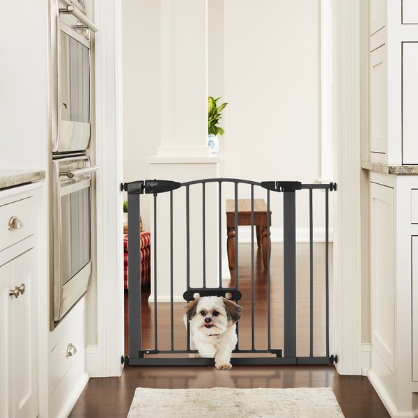 CARLSON PET PRODUCTS Design Studio Freestanding Extra Wide Dog Gate, 28