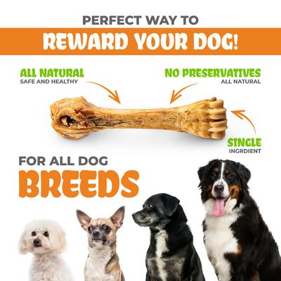 Show full view: K9warehouse Shin Bones Dog Chew Treats, 3 count slide 5 of 7