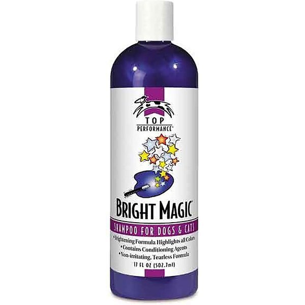 magic cat shampoo