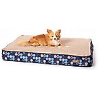 Navy/Paw