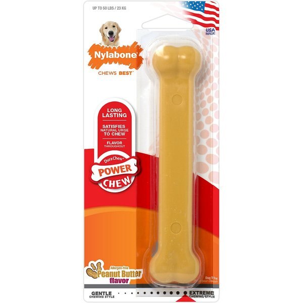 NYLABONE Power Chew Peanut Butter Flavored Dog Chew Toy, Large, 2 count