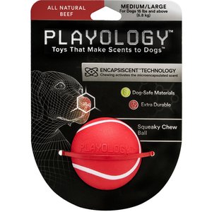 Playology All Natural Scented Squeaky Chew Ball Dog Toy, Medium/Large, Beef, bundle of 2
