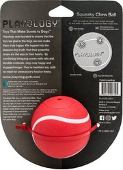 Playology All Natural Scented Squeaky Chew Ball Dog Toy, Medium/Large, Beef, bundle of 2 slide 2 of 7