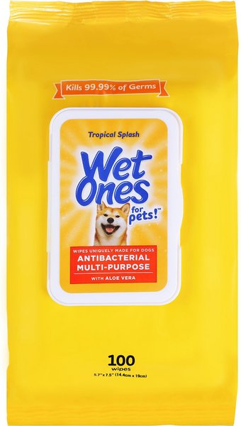 Wet Ones Anti Bacterial Multi-Purpose Tropical Splash Scent Dog Wipes, 200 count slide 1 of 3