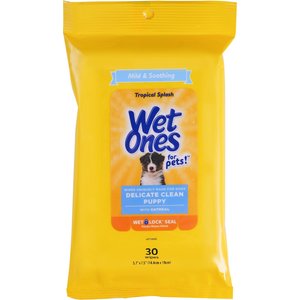 Wet Ones Delicate Clean Puppy Tropical Splash Scent Dog Wipes, 60 count