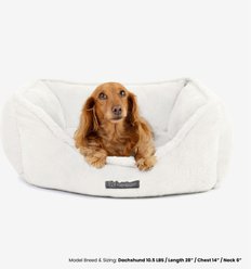Nandog Cloud Collection Cat & Dog Bed, Ivory