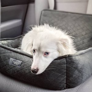 Nandog Quilted Micro-Plush Dog Car Seat Bed, Dark Gray, Medium