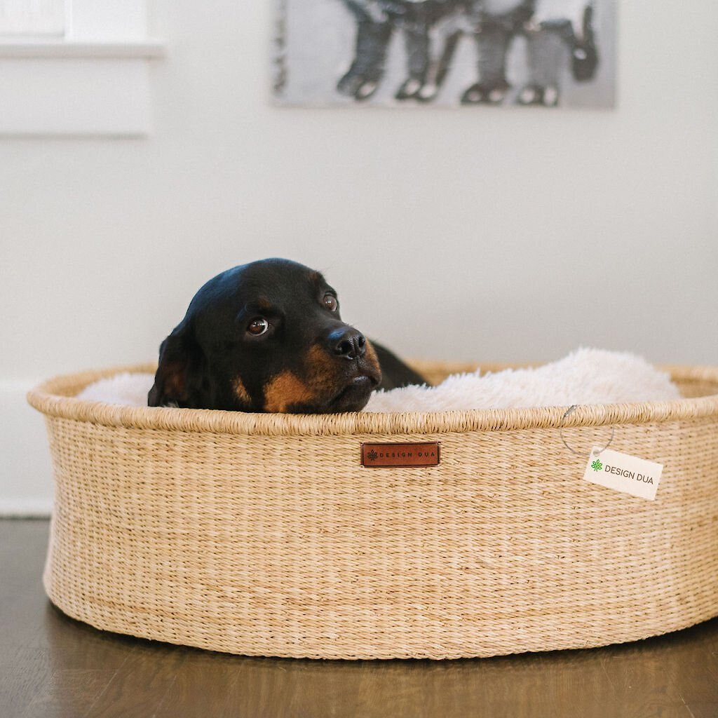 DESIGN DUA Donut Dog Cushion Holder, Natural, Large - Chewy.com