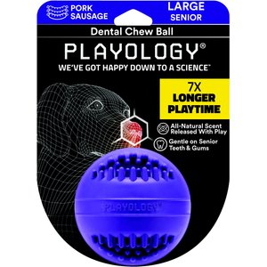 Playology All Natural Pork Sausage Scented Dental Chew Ball Dog Toy, Large