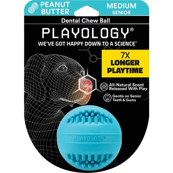 Playology Silver Dental Chew Dog Toy - Peanut Butter - Small