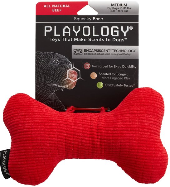 Playology All Natural Beef Scented Plush Squeaky Bone Dog Toy, Medium slide 1 of 3