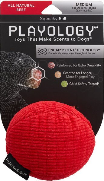 Playology All Natural Beef Scented Plush Squeaky Ball Dog Toy, Medium slide 1 of 3