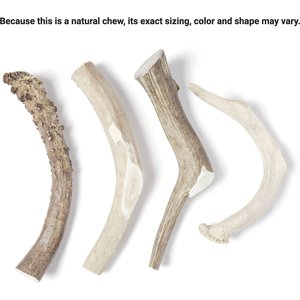 Bones & Chews Made in USA Deer Antler Dog Chew, 9.5 - 10.5 in, X-Large, 1 count