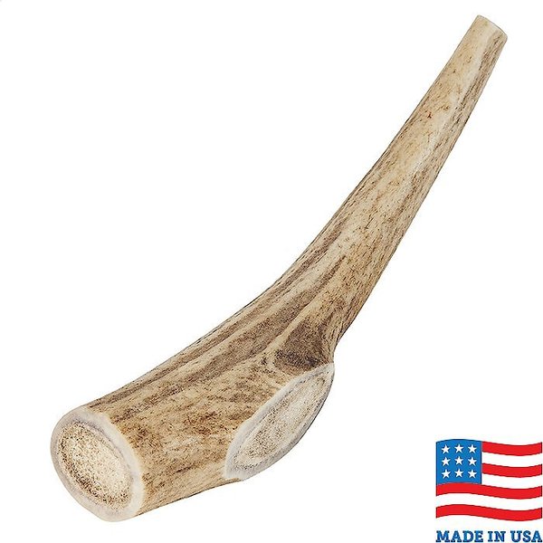 Bones & Chews Made in USA Elk Antler Dog Chew, 6.0 - 7.5-in, Medium slide 1 of 8