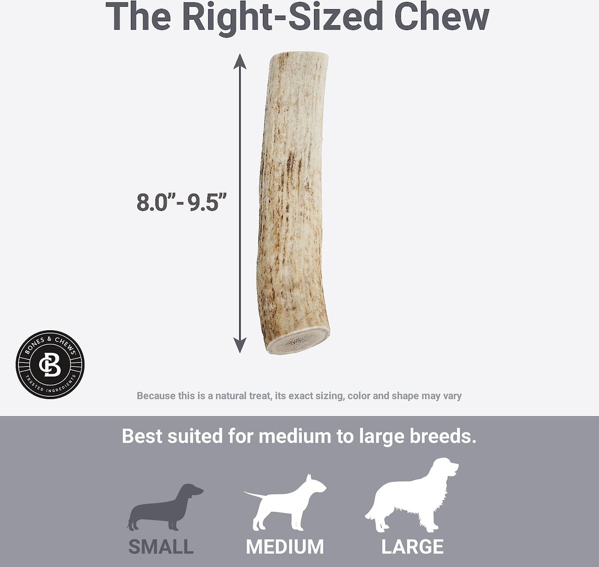 Bones & Chews Made in USA Elk Antler Burr Dog Chew