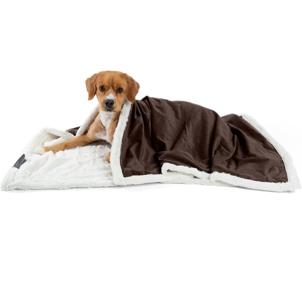 chewy dog blankets