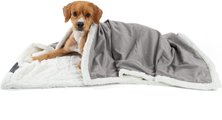 Best Friends by Sheri Ilan Microfiber Vegan Fur Cat & Dog Blanket, Gray
