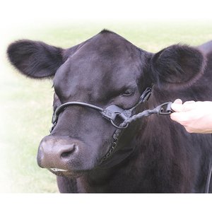 Sullivan Supply 1st Class Show Farm Animal Halter, Black, 1,100-1,500-lbs