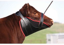 Sullivan Supply Hybrid Heat Farm Animal Neck Sweat, Medium