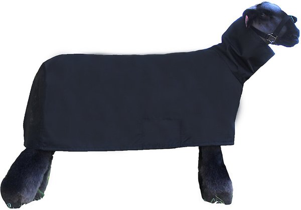 Sullivan Supply Tough Tech Sheep Blanket, Black, Small slide 1 of 1