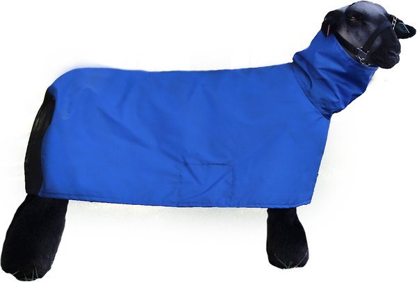 Sullivan Supply Tough Tech Sheep Blanket, Blue, Medium slide 1 of 1