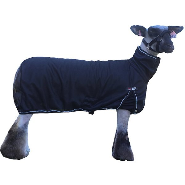 Sullivan Supply Thermal Sheep Blanket