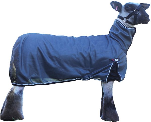Sullivan Supply Cool Tech Sheep Blanket, Gray, X-Large slide 1 of 1