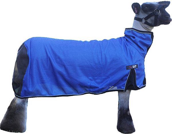 Sullivan Supply Cool Tech Sheep Blanket, Blue, Medium slide 1 of 1