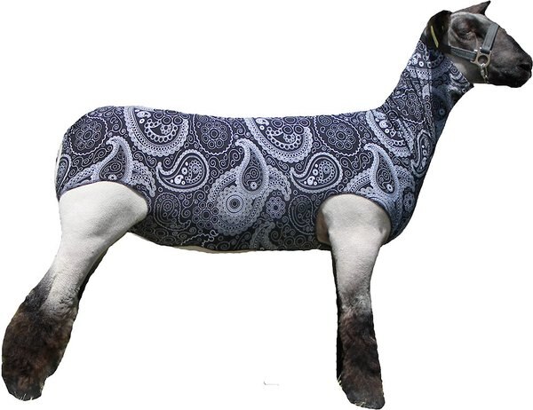 Sullivan Supply Performance Cotton Lamb Tube, Paisley, Medium slide 1 of 1
