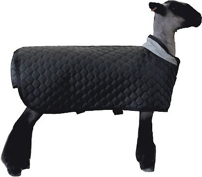 Sullivan Supply Thermal Sheep Blanket, Small slide 1 of 1
