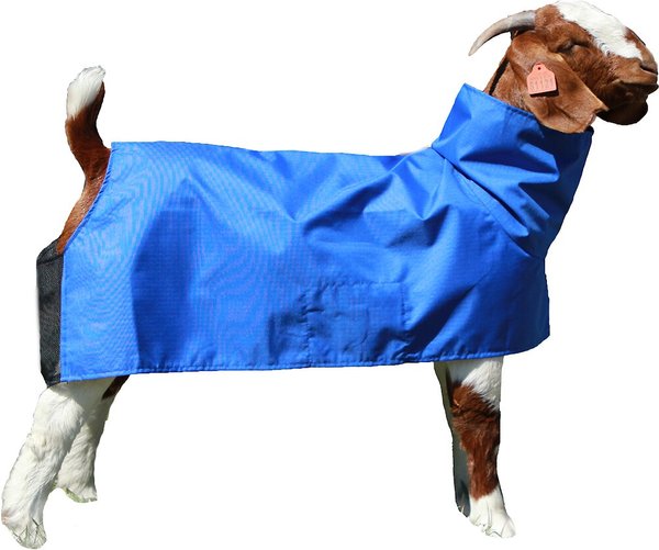 Sullivan Supply Tough Tech Goat Blanket, Blue, Medium slide 1 of 1
