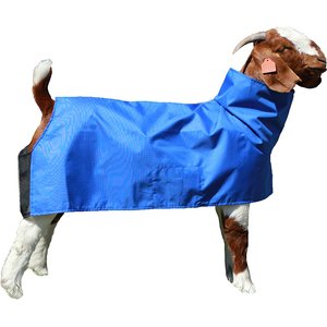 Sullivan Supply Tough Tech Goat Blanket, Blue, Medium