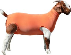 Sullivan Supply Performance Cotton Goat Tubes, Orange, X-Large