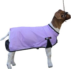 Sullivan Supply Cool Tech Goat Blankets, Purple, Small
