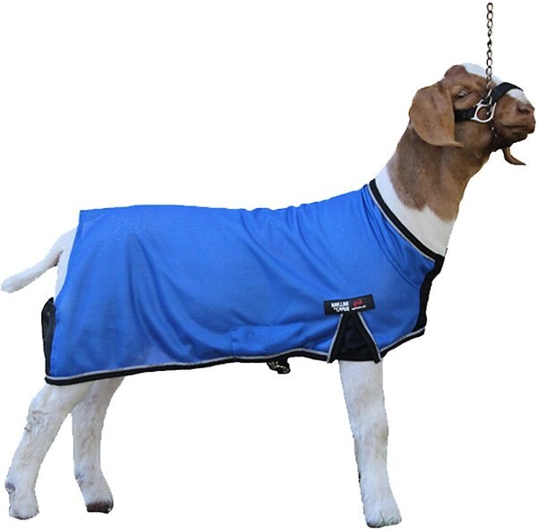 SULLIVAN SUPPLY Cool Tech Goat Blankets, Blue, Large