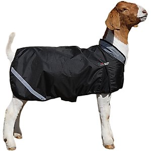 Sullivan Supply Wether Shield Thermal Goat Blanket, Black, X-Large
