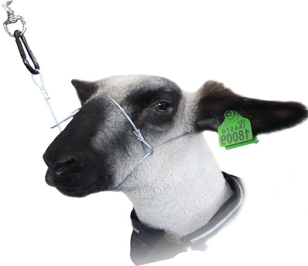 Temporarily Unavailable SULLIVAN SUPPLY Cruise Control Cable Farm