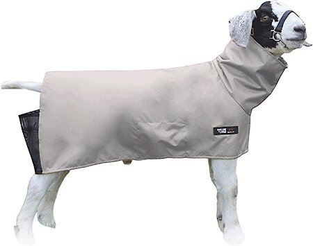 Sullivan Supply Canvas Goat Blanket, Medium slide 1 of 1