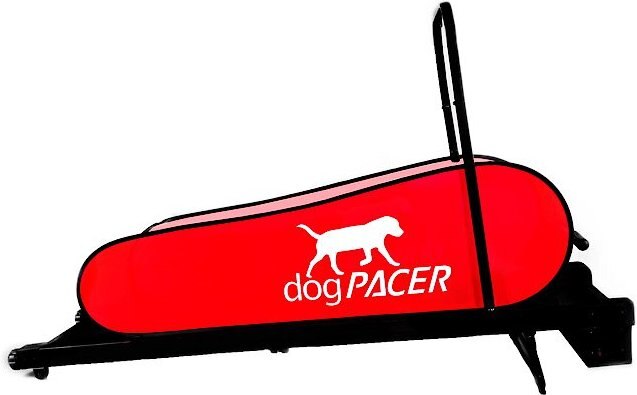 dogPACER Full Size Dog Treadmill