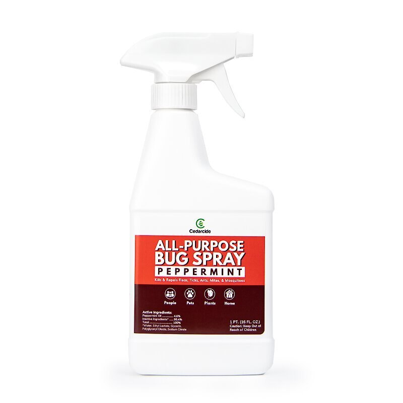 CEDARCIDE Peppermint AllPurpose Dog Bug Spray Customer Questions