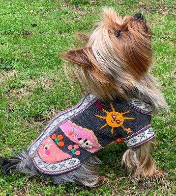 Show full view: Peruvian Accent Dog Sweater, Gray & Pink, 0 slide 2 of 9