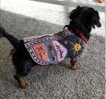 Show full view: Peruvian Accent Dog Sweater, Gray & Pink, 0 slide 6 of 9