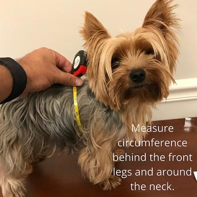 Show full view: Peruvian Accent Dog Sweater, Gray & Pink, 0 slide 7 of 9