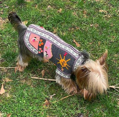 Show full view: Peruvian Accent Dog Sweater, Gray & Pink, 2 slide 4 of 9