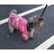 Show in main carousel: Peruvian Accent Dog Sweater, Dark Pink, X0 slide 2 of 8