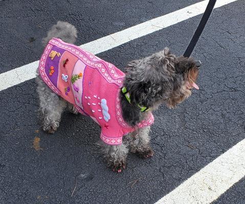 Show full view: Peruvian Accent Dog Sweater, Dark Pink, X0 slide 2 of 8