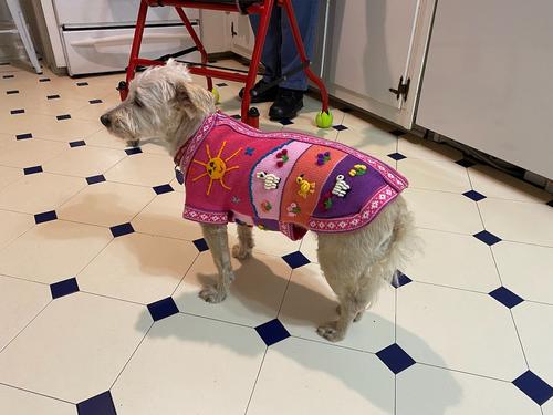 Show full view: Peruvian Accent Dog Sweater, Dark Pink, X0 slide 4 of 8