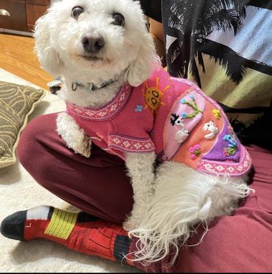 Show full view: Peruvian Accent Dog Sweater, Dark Pink, X0 slide 5 of 8