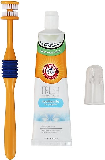 Arm & Hammer Products Fresh Spectrum 360 Coconut Mint Flavored Puppy Dental Kit